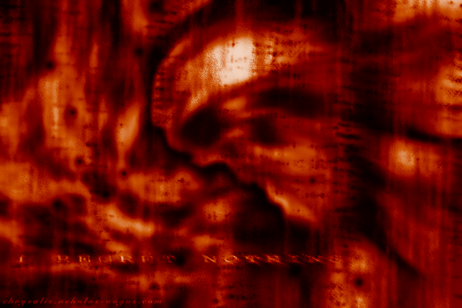 A digital abstract artwork in warm, almost burning colors. It depicts multiple skulls being distorted by a nearby fire/explosion. Text in the corner reads 'I REGRET NOTHING'.